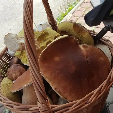 Martinske Udoli بيت ضيافة